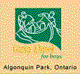 View Website