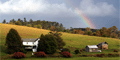 View Website