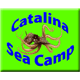 View Website
