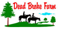 View Website