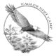 View Website