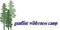 View Website