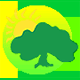 View Website