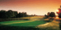 View Website
