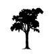 View Website