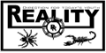 View Website