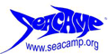 View Website