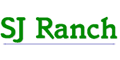 View Website