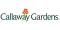 View Website