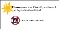 View Website