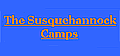 View Website